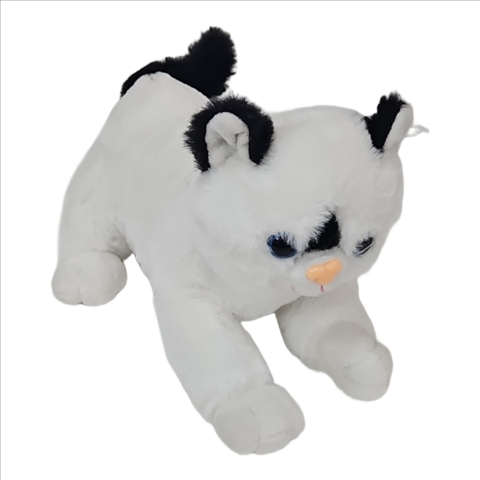 Fluffy Persian Cat Soft Toy – 25cm Cuddly Plush for Kids & Gifting (Assored Colours)