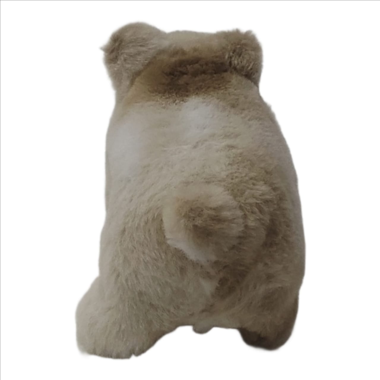 MelodyBear Musical Electric Soft Toy | Singing & Dancing Plush for Kids & Gifting - Image 3