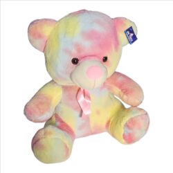 Soft Rainbow Teddy Bear – 30 cm | Multicolor Plush Toy for Kids & Gifting